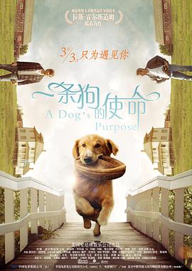 黄色app网站在线观看